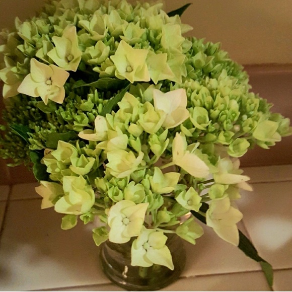 Not 4 sale-just to enjoy the beauty of nature❤ - Picture 2 of 4